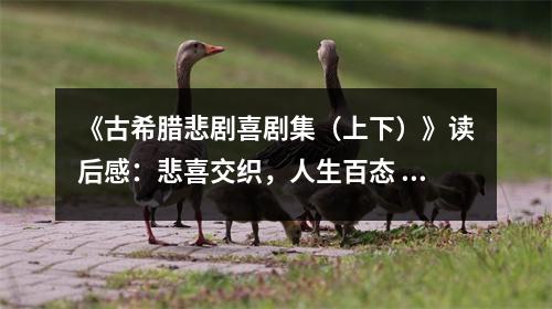 《古希臘悲劇喜劇集（上下）》讀后感：悲喜交織，人生百態(tài) (750字)