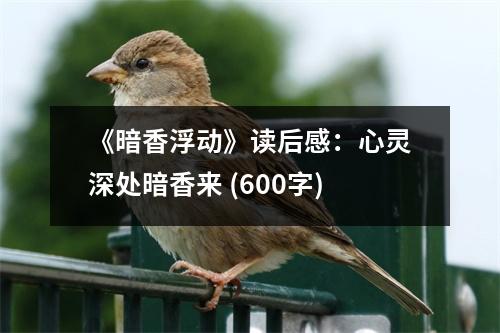 《暗香浮動》讀后感：心靈深處暗香來 (600字)