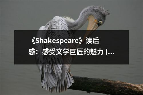 《Shakespeare》讀后感：感受文學巨匠的魅力 (750字)