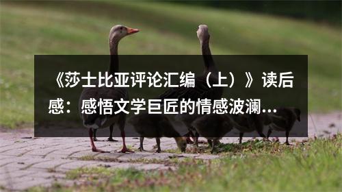 《莎士比亞評論匯編（上）》讀后感：感悟文學巨匠的情感波瀾 (950字)