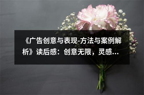 《廣告創(chuàng)意與表現(xiàn)-方法與案例解析》讀后感：創(chuàng)意無限，靈感泉涌 (800字)