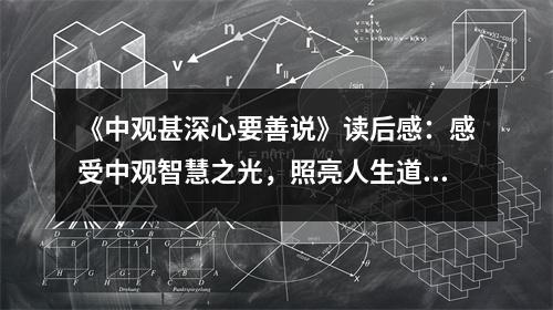 《中觀甚深心要善說》讀后感：感受中觀智慧之光，照亮人生道路 (950字)
