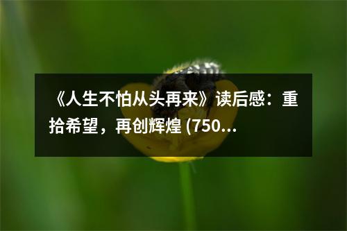 《人生不怕從頭再來》讀后感：重拾希望，再創(chuàng)輝煌 (750字)