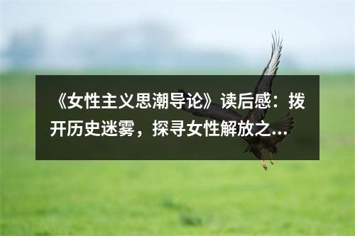 《女性主義思潮導論》讀后感：撥開歷史迷霧，探尋女性解放之路 (850字)