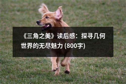 《三角之美》讀后感：探尋幾何世界的無盡魅力 (800字)