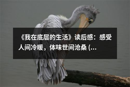 《我在底層的生活》讀后感：感受人間冷暖，體味世間滄桑 (1100字)