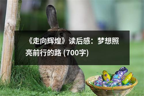 《走向輝煌》讀后感：夢想照亮前行的路 (700字)