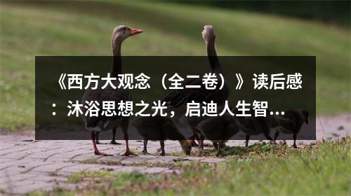 《西方大觀念（全二卷）》讀后感：沐浴思想之光，啟迪人生智慧 (850字)