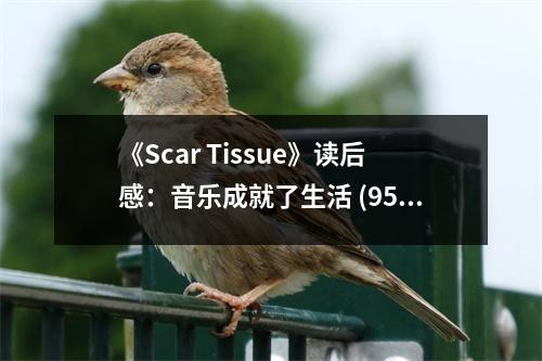 《Scar Tissue》讀后感：音樂成就了生活 (950字)