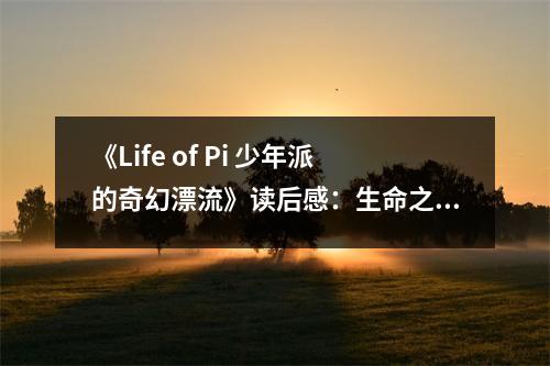 《Life of Pi 少年派的奇幻漂流》讀后感：生命之舟，逆境成長 (700字)