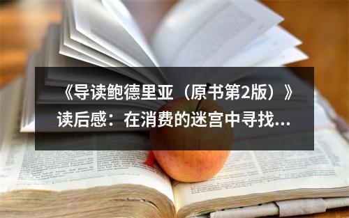 《導(dǎo)讀鮑德里亞（原書第2版）》讀后感：在消費(fèi)的迷宮中尋找自我救贖 (750字)