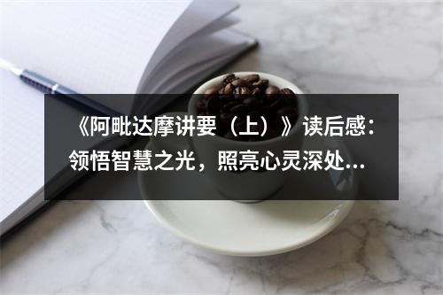 《阿毗達(dá)摩講要（上）》讀后感：領(lǐng)悟智慧之光，照亮心靈深處 (1000字)