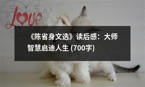 《陳省身文選》讀后感：大師智慧啟迪人生 (700字)