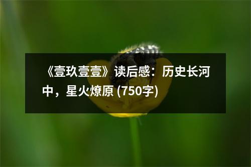 《壹玖壹壹》讀后感：歷史長河中，星火燎原 (750字)