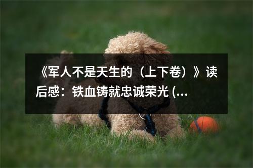 《軍人不是天生的（上下卷）》讀后感：鐵血鑄就忠誠榮光 (1200字)