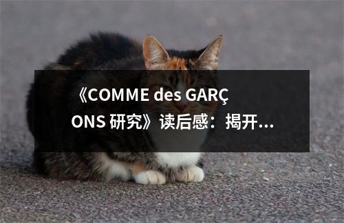 《COMME des GAR?ONS 研究》讀后感：揭開設計的神秘面紗 (700字)