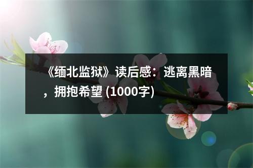 《緬北監(jiān)獄》讀后感：逃離黑暗，擁抱希望 (1000字)