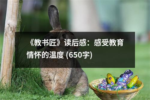 《教書匠》讀后感：感受教育情懷的溫度 (650字)