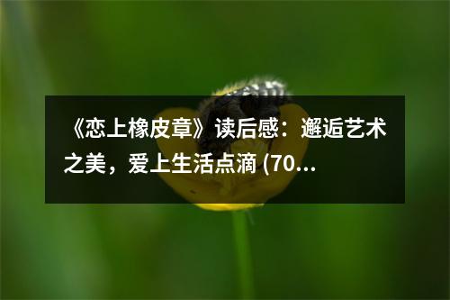 《戀上橡皮章》讀后感：邂逅藝術(shù)之美，愛上生活點(diǎn)滴 (700字)
