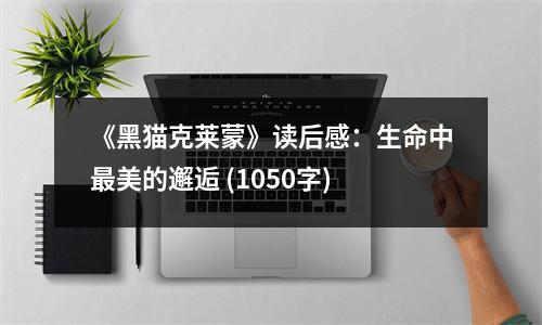 《黑貓克萊蒙》讀后感：生命中最美的邂逅 (1050字)
