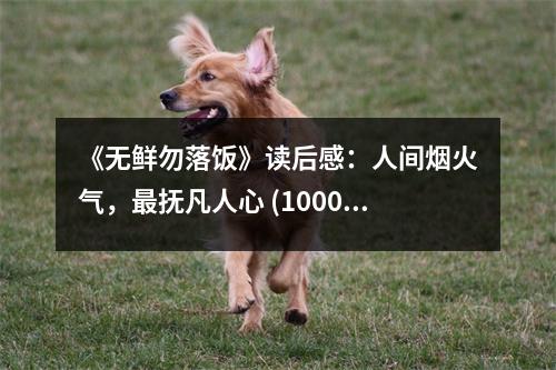 《無(wú)鮮勿落飯》讀后感：人間煙火氣，最撫凡人心 (1000字)