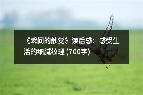 《瞬間的觸覺(jué)》讀后感：感受生活的細(xì)膩紋理 (700字)