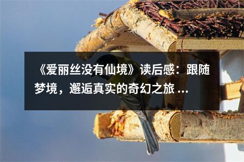 《愛麗絲沒有仙境》讀后感：跟隨夢境，邂逅真實(shí)的奇幻之旅 (850字)