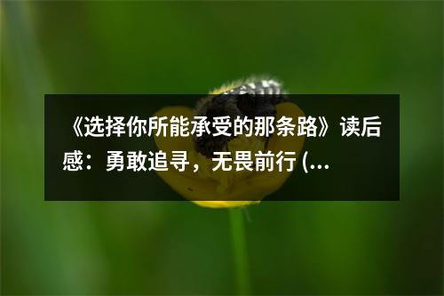 《選擇你所能承受的那條路》讀后感：勇敢追尋，無畏前行 (750字)