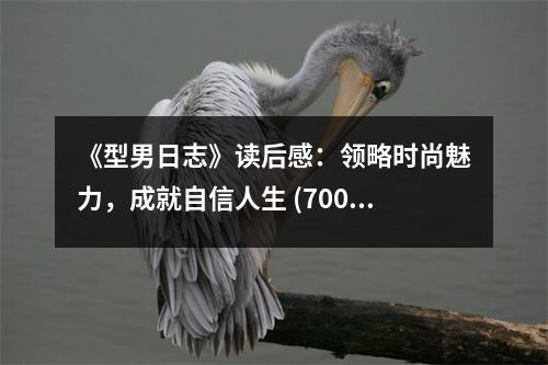 《型男日志》讀后感：領略時尚魅力，成就自信人生 (700字)