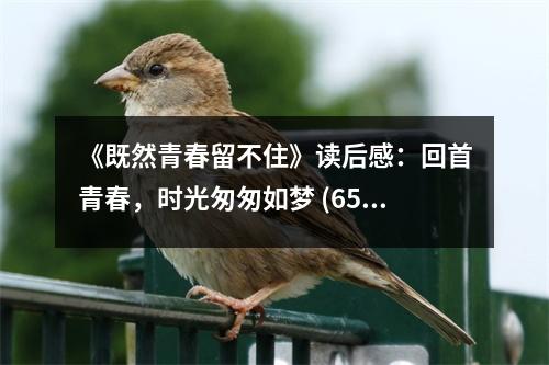 《既然青春留不住》讀后感：回首青春，時(shí)光匆匆如夢(mèng) (650字)