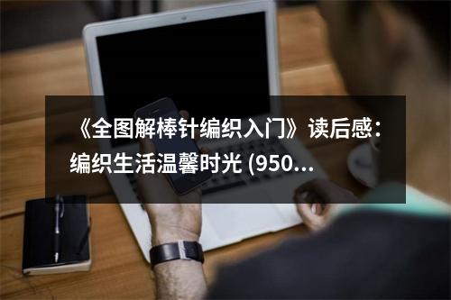 《全圖解棒針編織入門》讀后感：編織生活溫馨時(shí)光 (950字)