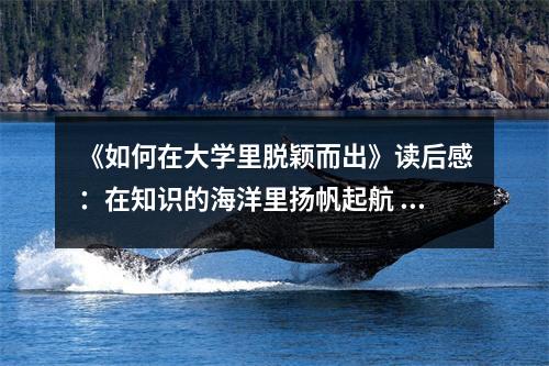《如何在大學(xué)里脫穎而出》讀后感：在知識的海洋里揚帆起航 (700字)