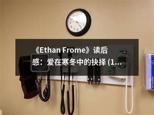 《Ethan Frome》讀后感：愛在寒冬中的抉擇 (1100字)