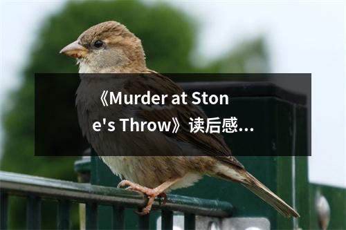 《Murder at Stone's Throw》讀后感：懸疑中感受人性的深淵 (750字)