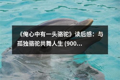《俺心中有一頭駱駝》讀后感：與孤獨駱駝共舞人生 (900字)