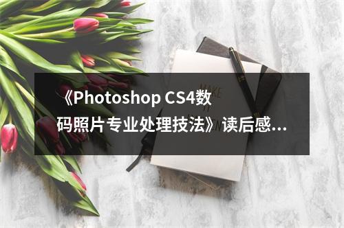 《Photoshop CS4數(shù)碼照片專業(yè)處理技法》讀后感：探索光影之美，捕捉生活瞬間 (850字)