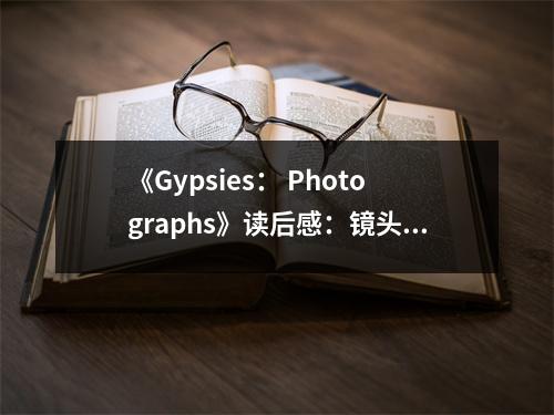 《Gypsies： Photographs》讀后感：鏡頭下的流浪人生，靈魂的漂泊與堅(jiān)守 (850字)