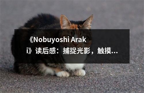 《Nobuyoshi Araki》讀后感：捕捉光影，觸摸靈魂 (950字)