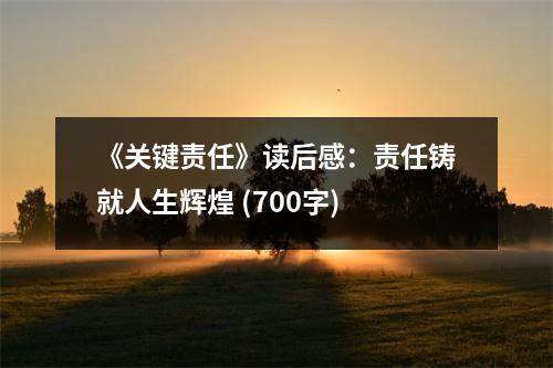 《關(guān)鍵責(zé)任》讀后感：責(zé)任鑄就人生輝煌 (700字)