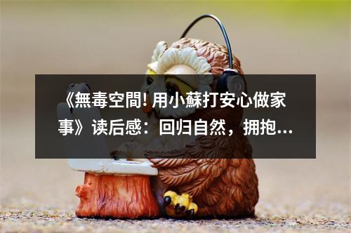 《無毒空間! 用小蘇打安心做家事》讀后感：回歸自然，擁抱純凈的家 (850字)