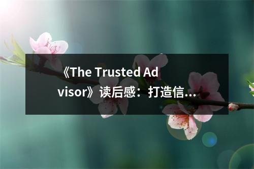 《The Trusted Advisor》讀后感：打造信任的橋梁，心與心的交融 (700字)