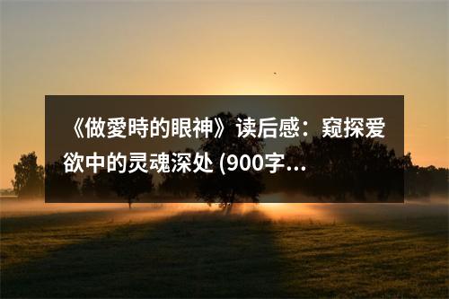 《做愛時(shí)的眼神》讀后感：窺探愛欲中的靈魂深處 (900字)