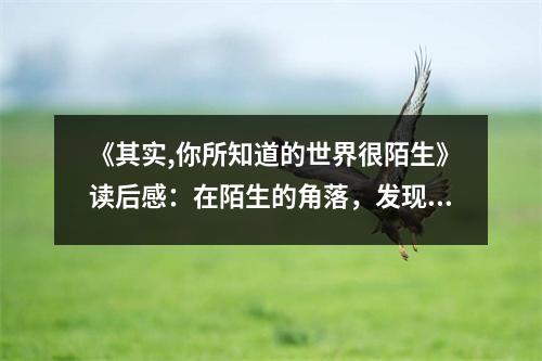 《其實,你所知道的世界很陌生》讀后感：在陌生的角落，發(fā)現(xiàn)真實的自我 (850字)