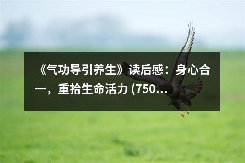 《氣功導引養(yǎng)生》讀后感：身心合一，重拾生命活力 (750字)