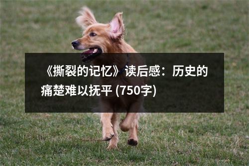 《撕裂的記憶》讀后感：歷史的痛楚難以撫平 (750字)