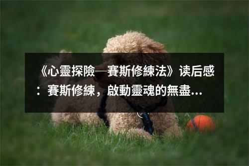 《心靈探險─賽斯修練法》讀后感：賽斯修練，啟動靈魂的無盡之旅 (850字)