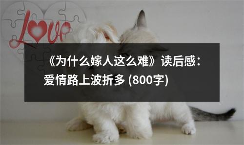 《為什么嫁人這么難》讀后感：愛情路上波折多 (800字)