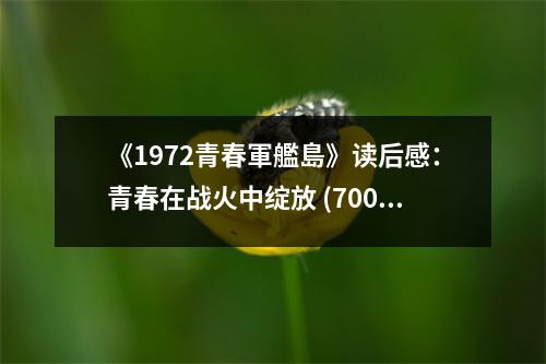 《1972青春軍艦島》讀后感：青春在戰(zhàn)火中綻放 (700字)