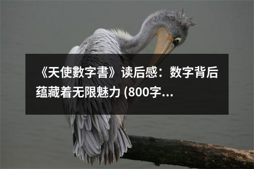 《天使數(shù)字書》讀后感：數(shù)字背后蘊(yùn)藏著無限魅力 (800字)