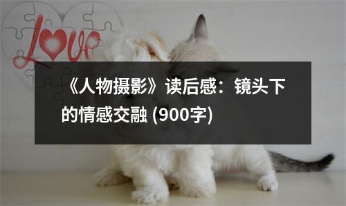 《人物攝影》讀后感：鏡頭下的情感交融 (900字)